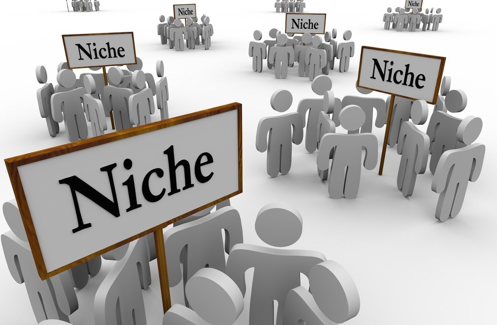 what is a niche in internet marketing