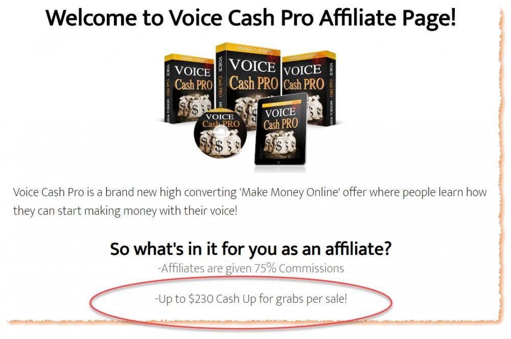 voice cash pro affiliate program