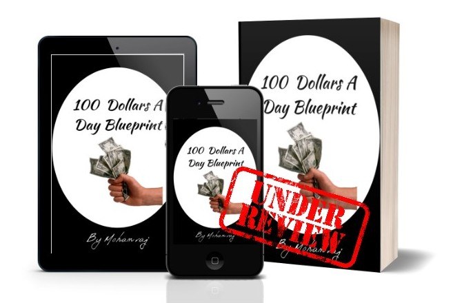 100 dollars a day blueprint review