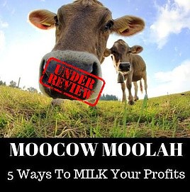 moocow moolah review