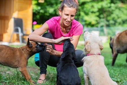 a woman training pets